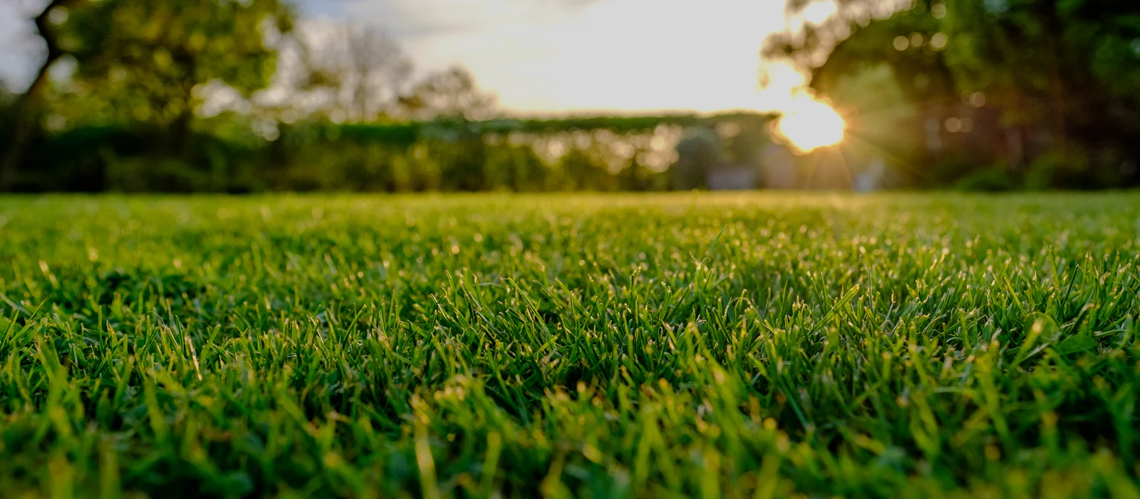 img-slider-4