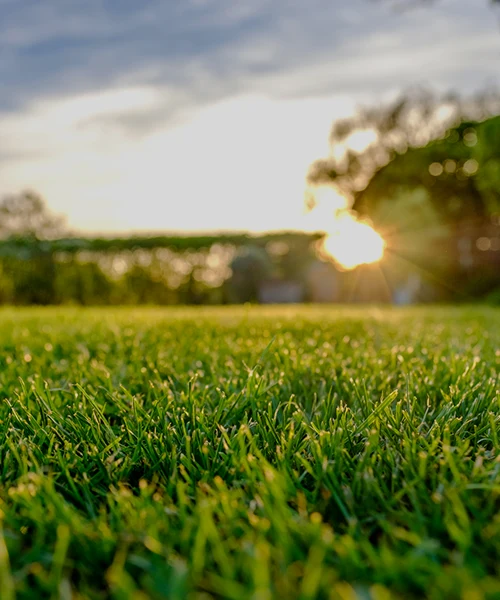 img-slider-4
