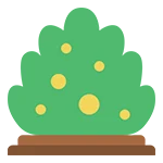 Bush Trimming