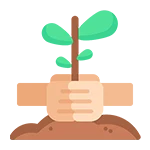 Planting